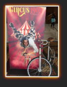  FLORIAN BLMMEL - THE CYCLING CYCLONE at CIRCUS 1903 - THE GOLDEN AGE OF CIRCUS performing in Melbourne, Australia, at the famous REGENT THEATER